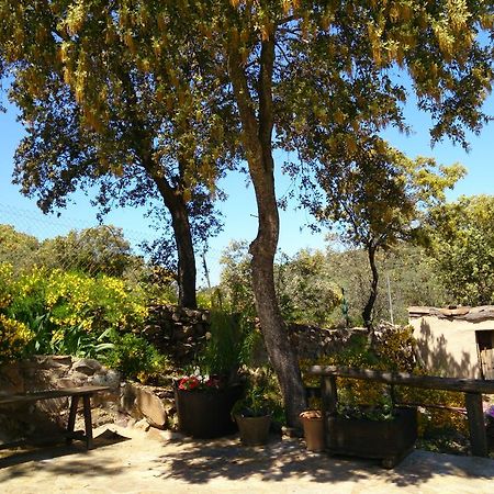 Valdolazaro Guest House Los Navalucillos Exterior photo
