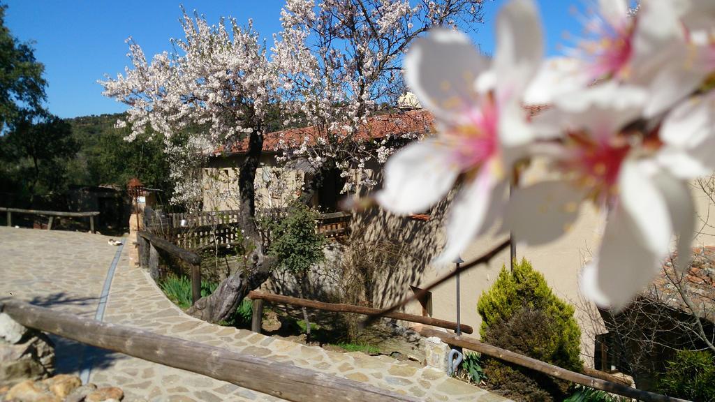 Valdolazaro Guest House Los Navalucillos Exterior photo