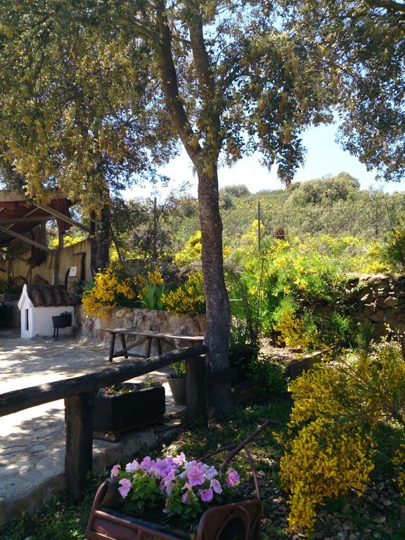 Valdolazaro Guest House Los Navalucillos Exterior photo